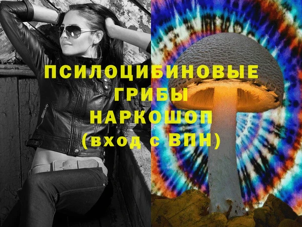 винт Алзамай