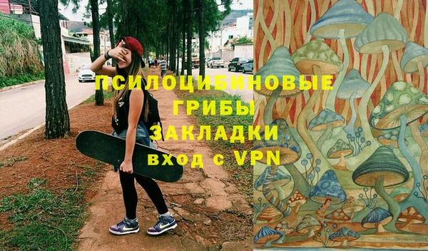 винт Алзамай