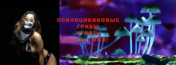 прущие крисы Алексин