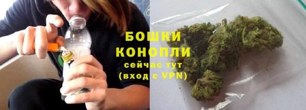 гидра Бикин