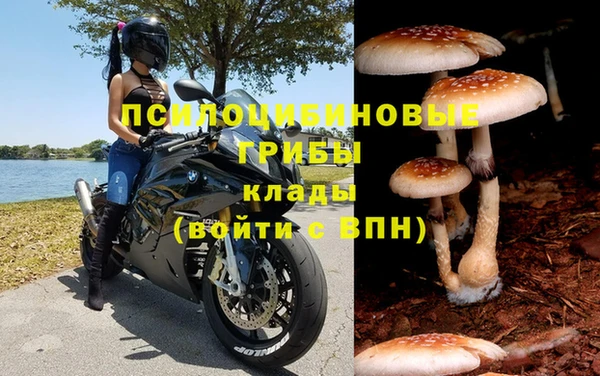 винт Алзамай